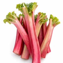 Rhubarb