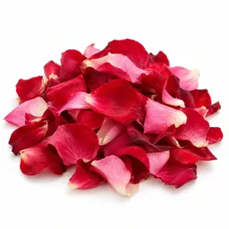 Rose Petals