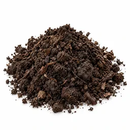 Soil