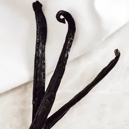 Vanilla