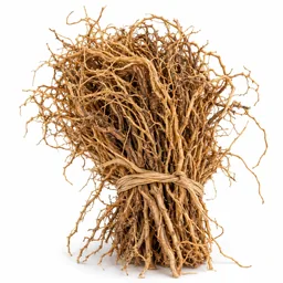 Vetiver