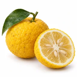 Yuzu