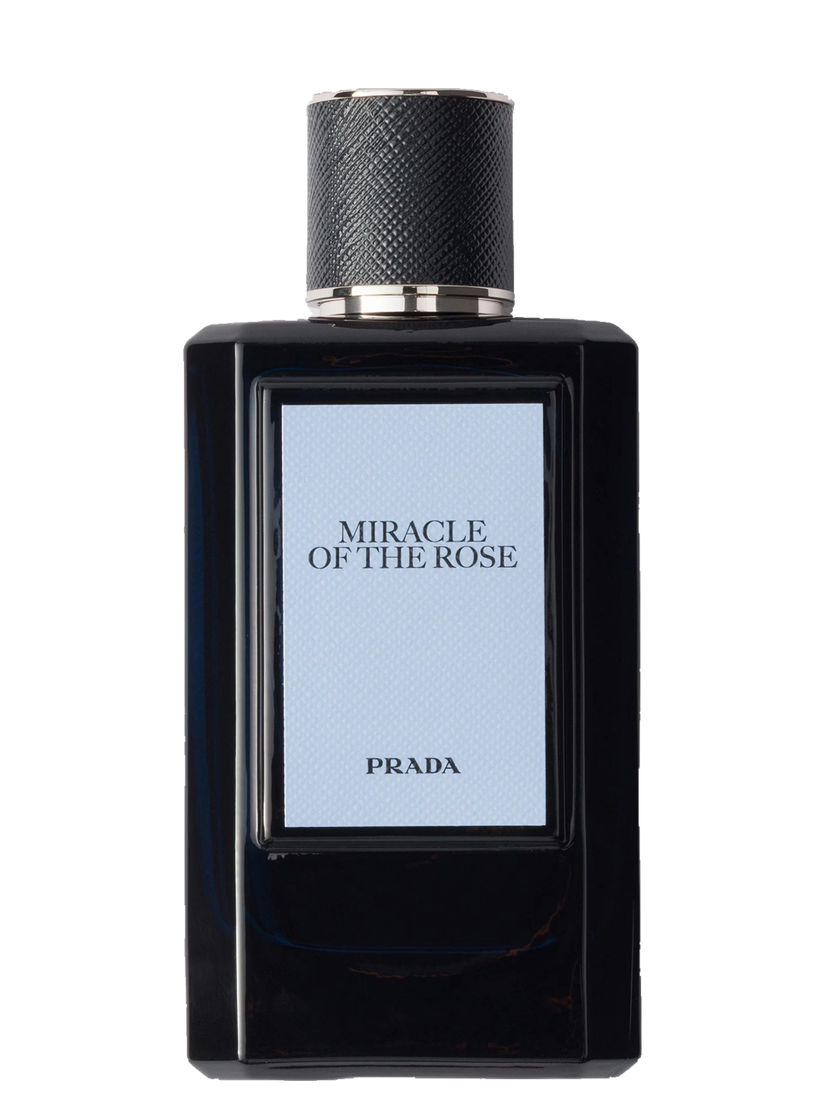 Prada Miracle of the Rose