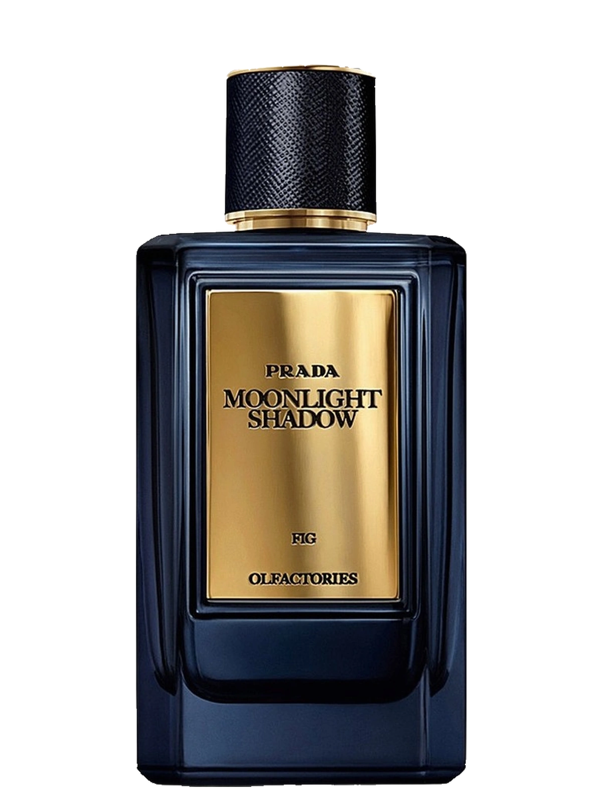 Prada Moonlight Shadow