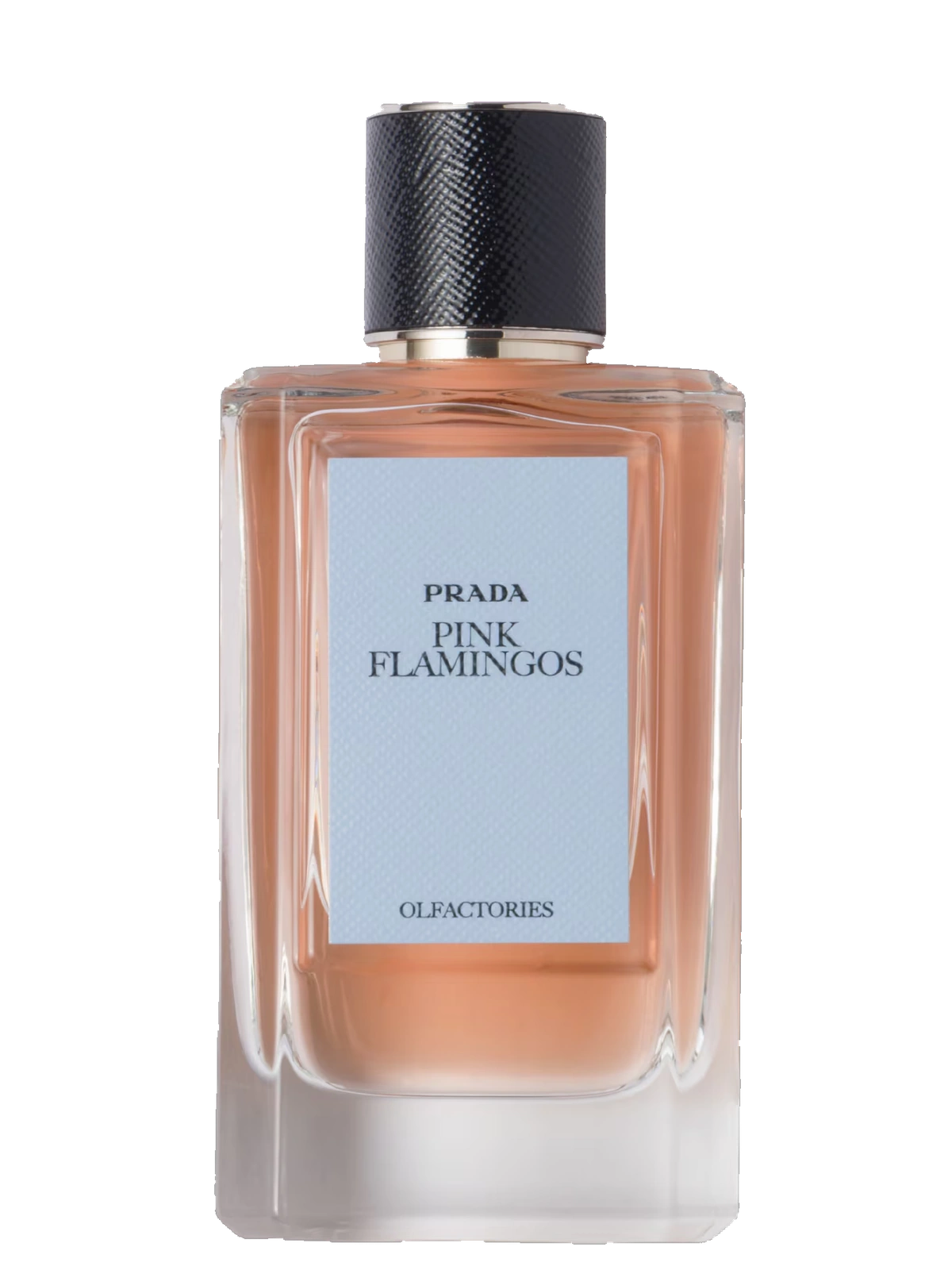 Prada Pink Flamingos