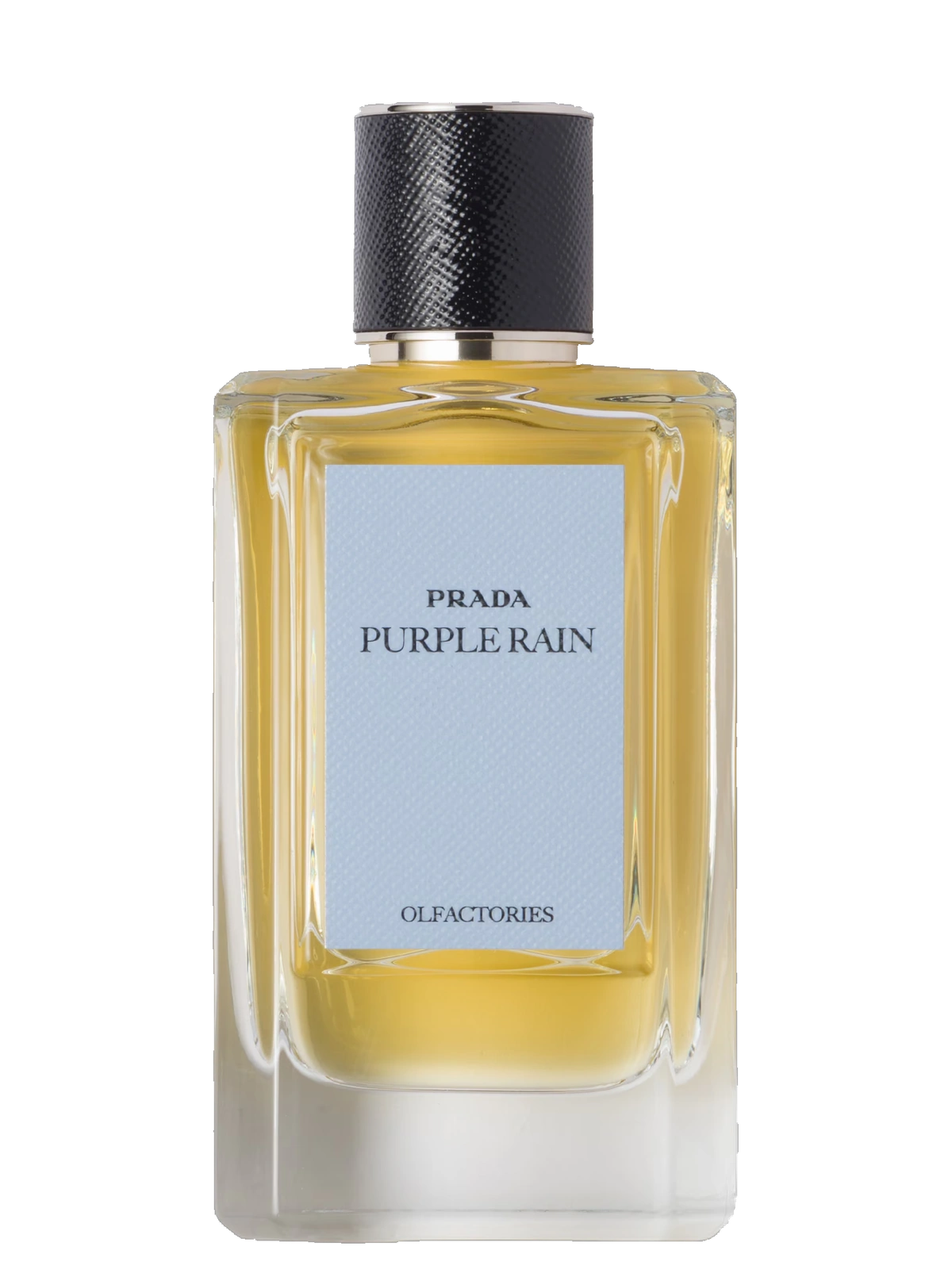 Prada Purple Rain