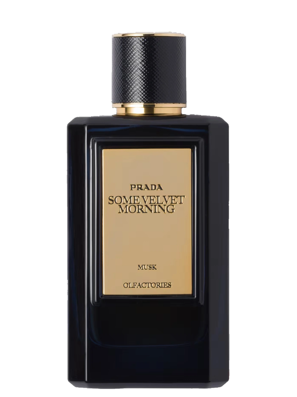 Prada Some Velvet Morning