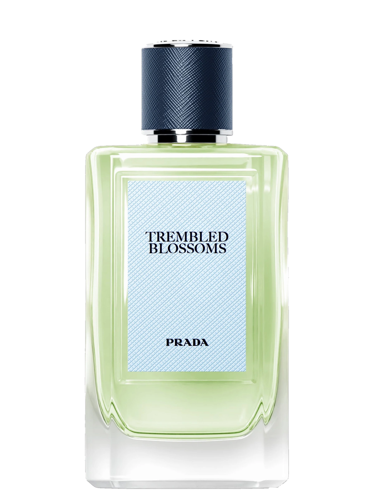 Prada Trembled Blossoms