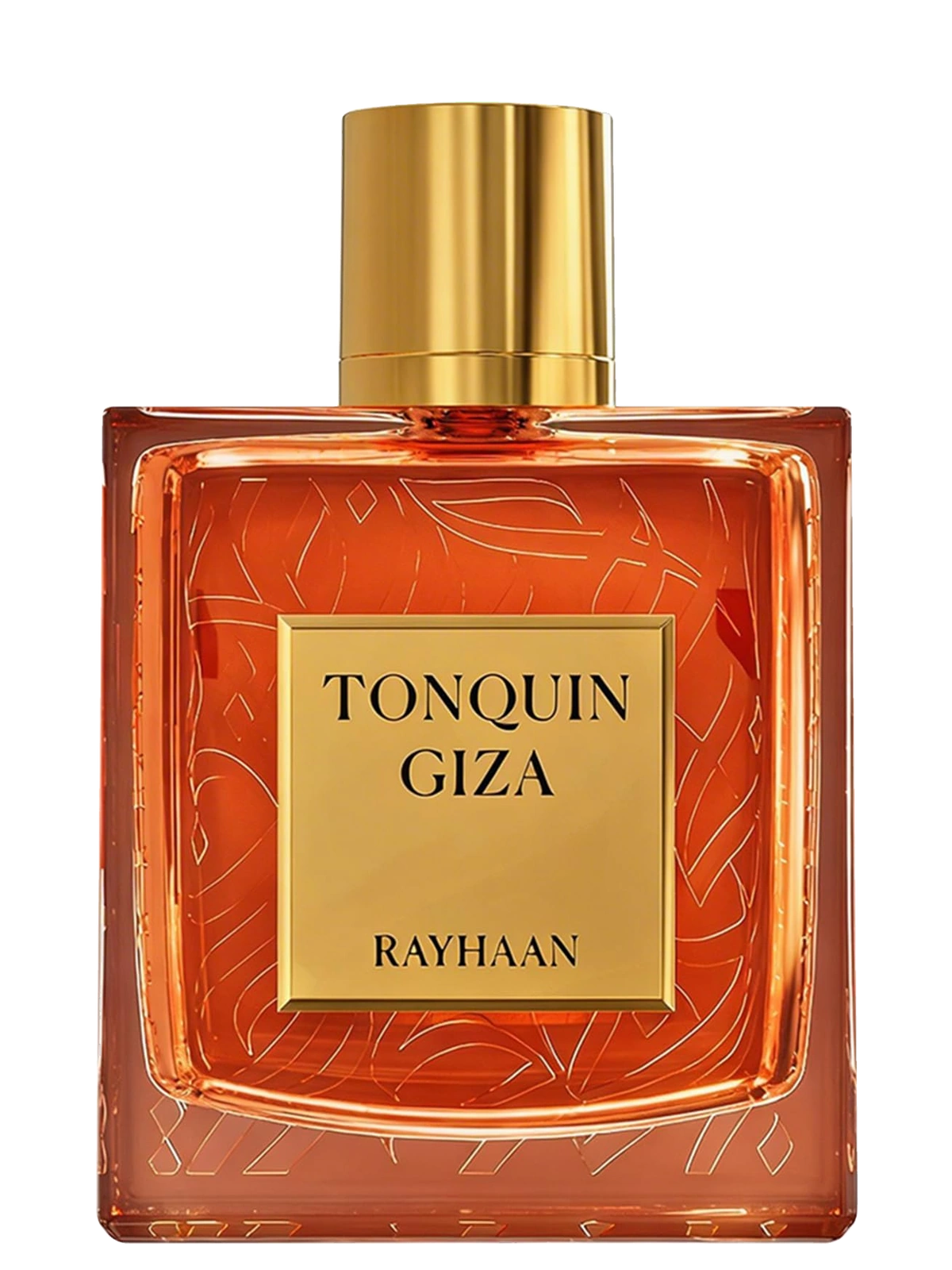 Rayhaan Tonquin Giza