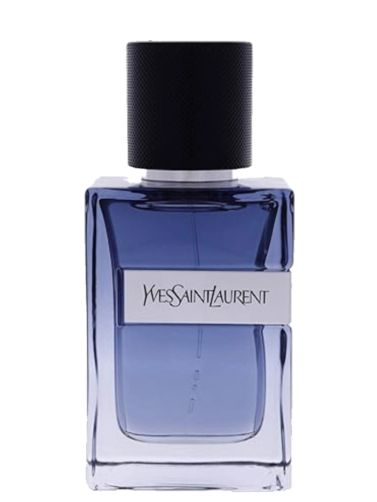 Yves Saint Laurent Y Live